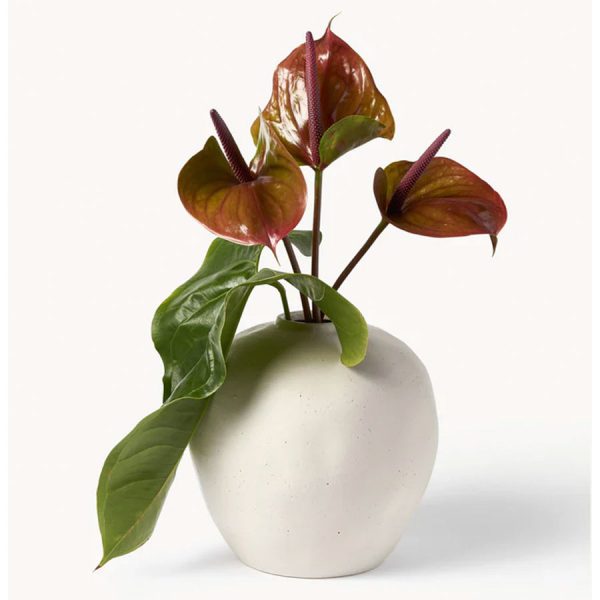Vase Bruno en grès blanc cassé